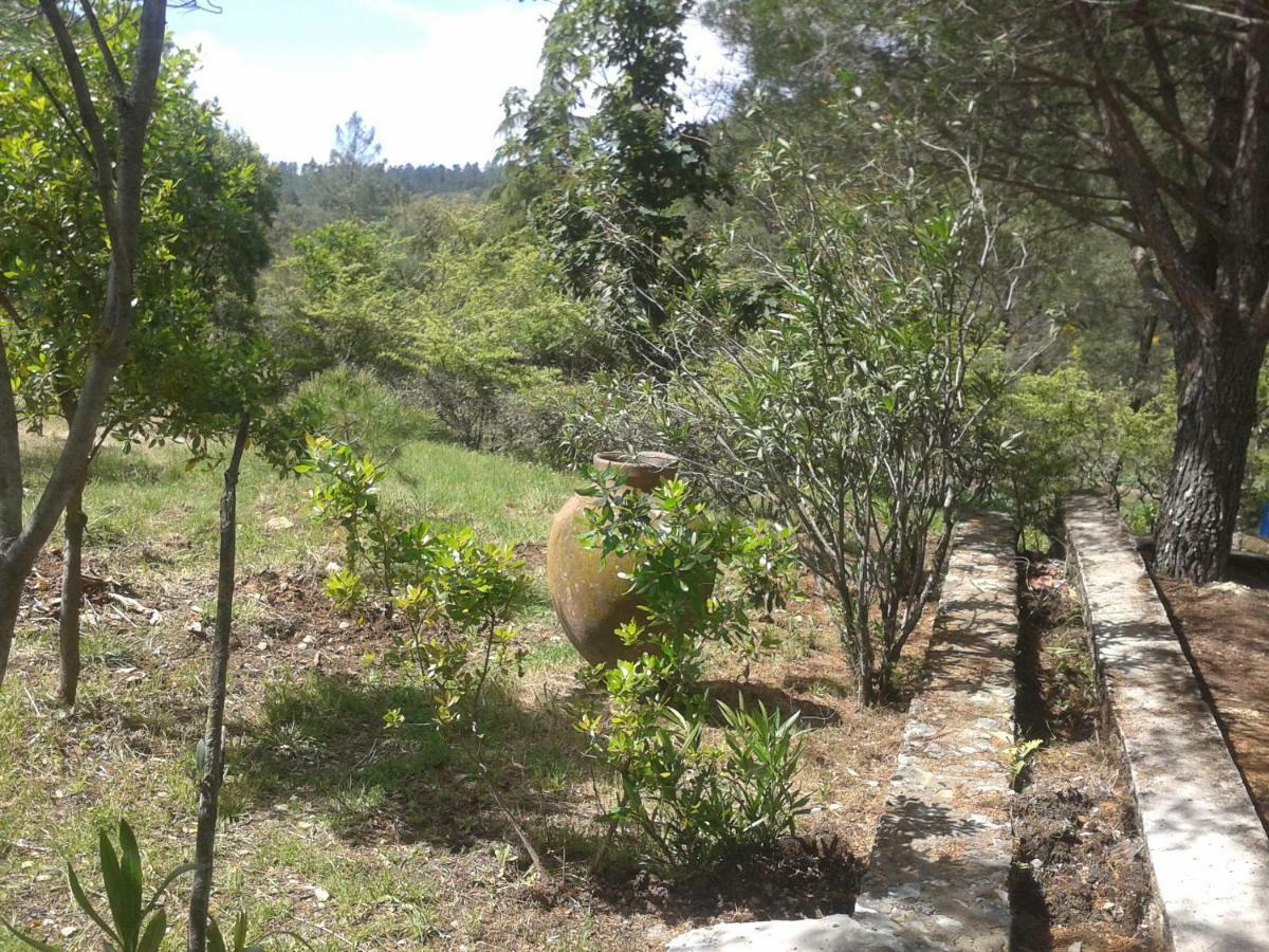 Quinta Das Lameirinhas Marvão Eksteriør bilde