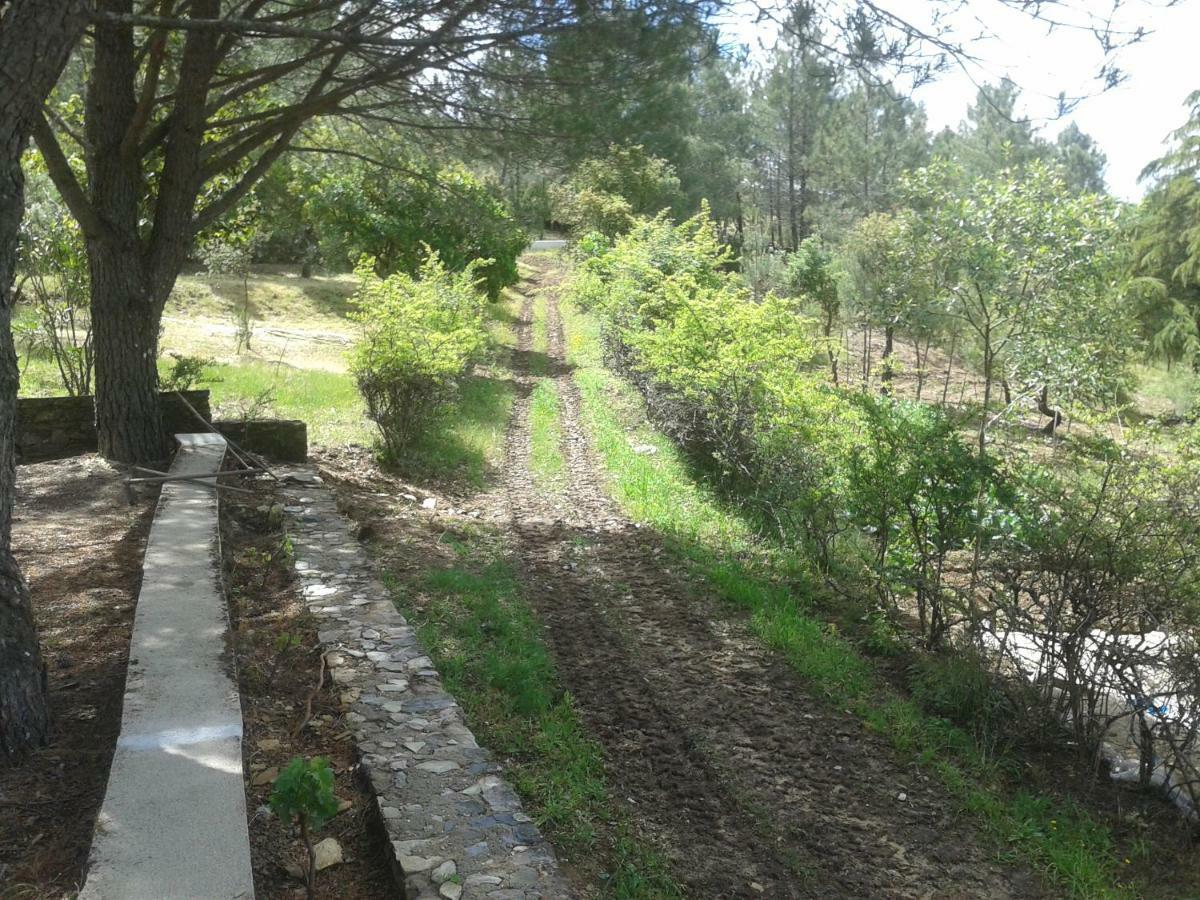 Quinta Das Lameirinhas Villa Marvão Eksteriør bilde